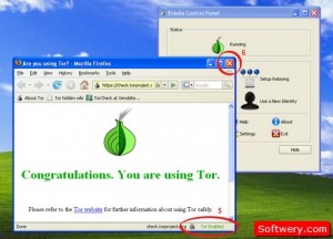Tor Browser-softwery.com-5