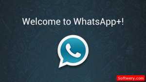 تحميل برنامج Whatsapp Plus واتس اب بلس عربي جميع الاصدارات APK